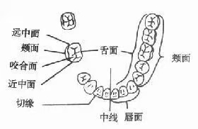 圖片2.png 圖片2.png
