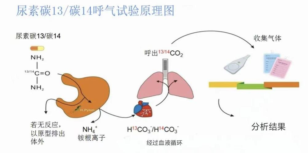 圖片7.png 圖片7.png