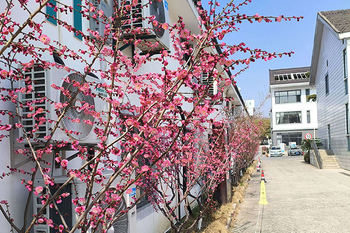微信圖片_20250227120804.jpg 微信圖片_20250227120804.jpg