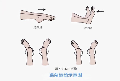圖片6.jpg 圖片6.jpg